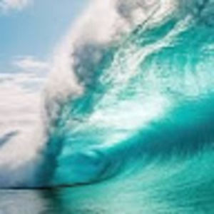 Meet your Posher, Anelise